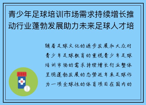 青少年足球培训市场需求持续增长推动行业蓬勃发展助力未来足球人才培养 青少年足球培训市场需求持续增长推动行业蓬勃发展助力未来足球人才培养